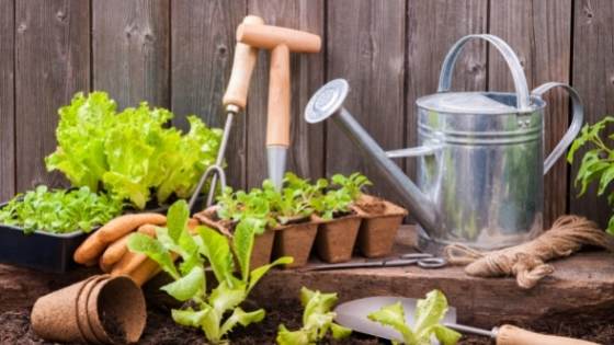 With so many different shapes and sizes, gardening tools can be a pain to store. These tips will help keep them organized.